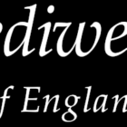 pediwear promo codes and deals